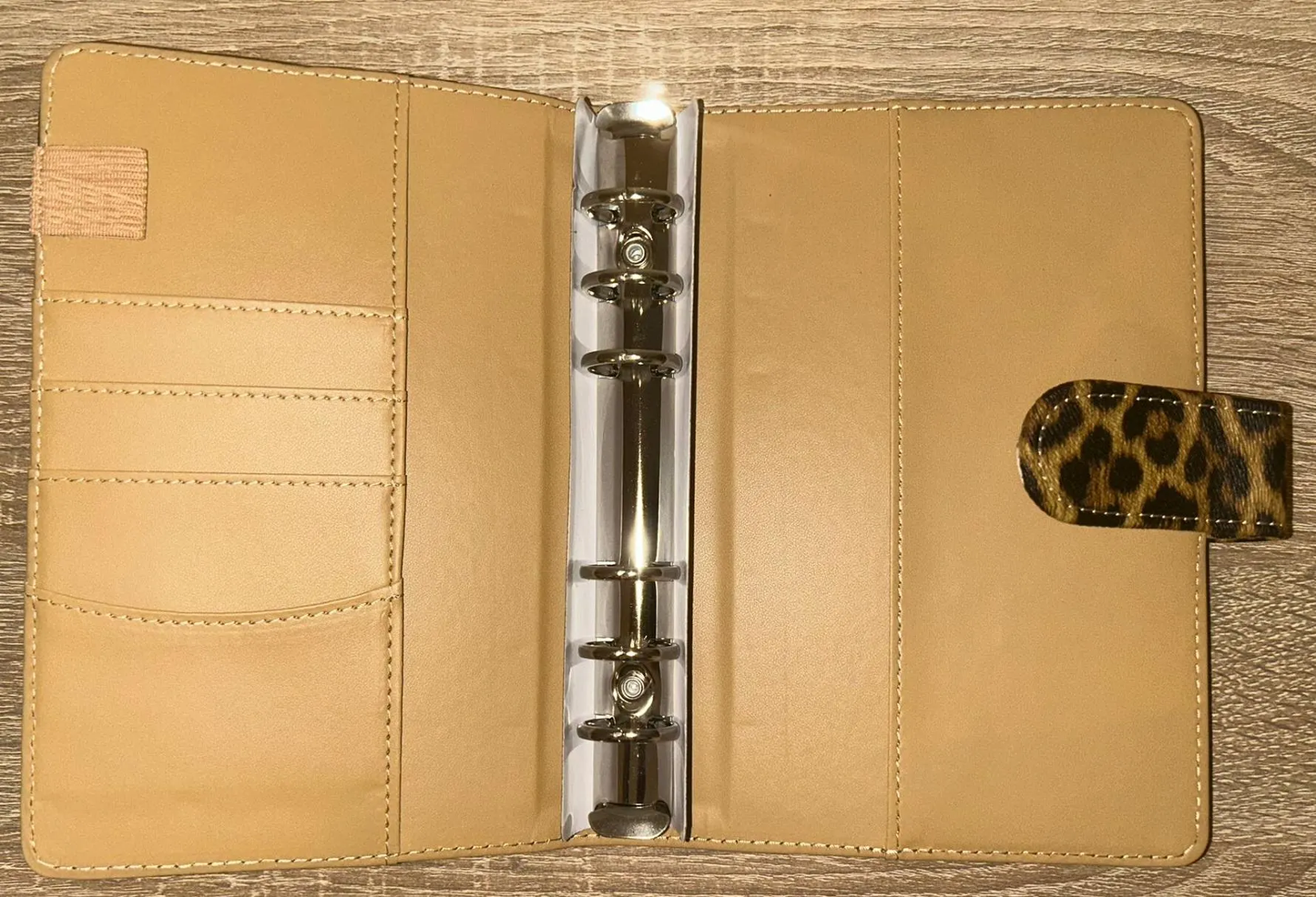 Budget Binder im Leo Look Budgeting Sparen