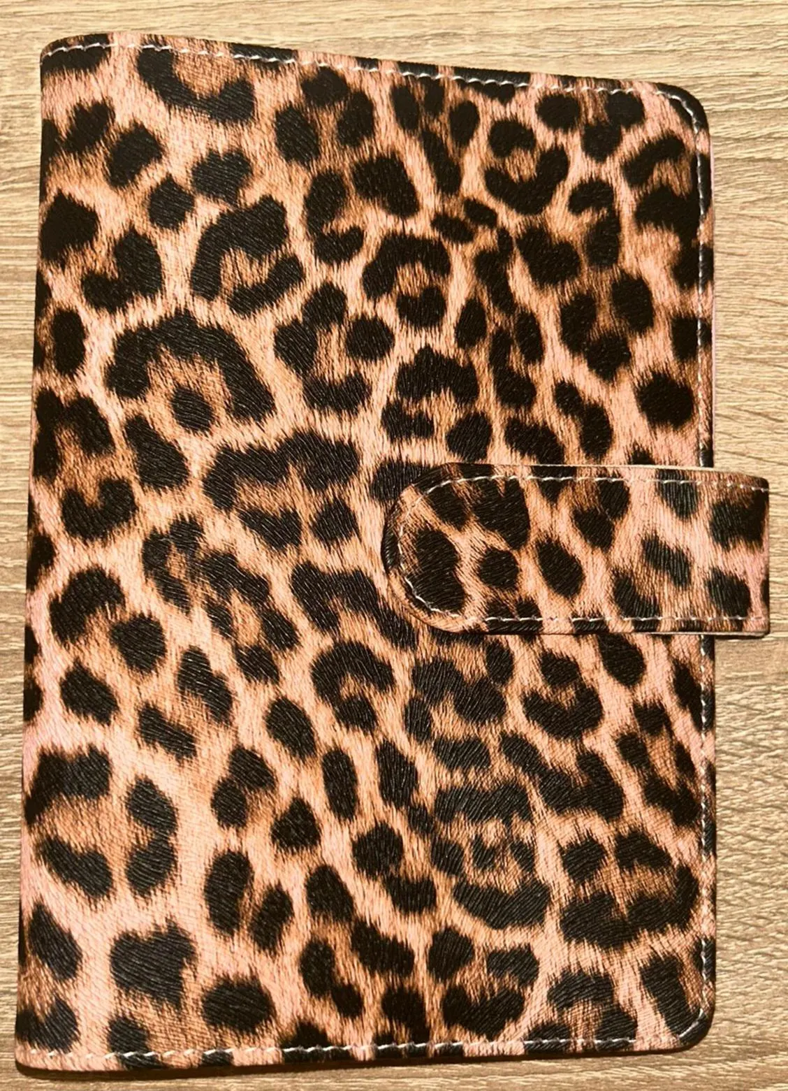 Budget Binder im Leo Look Budgeting Sparen