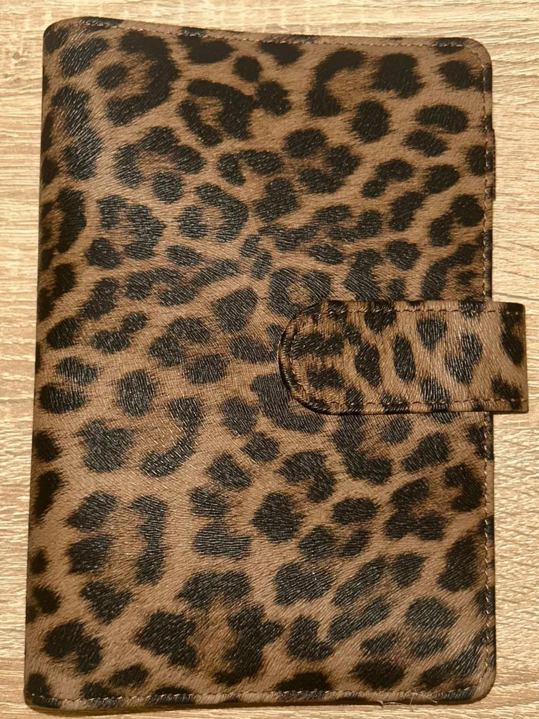 Budget Binder im Leo Look Budgeting Sparen