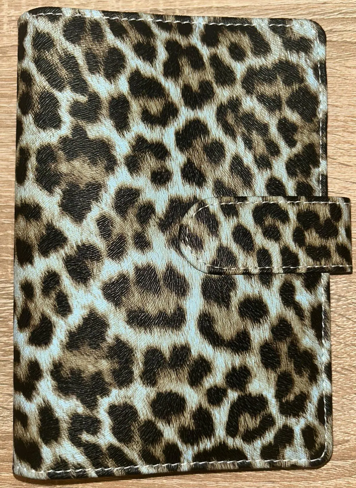 Budget Binder im Leo Look Budgeting Sparen