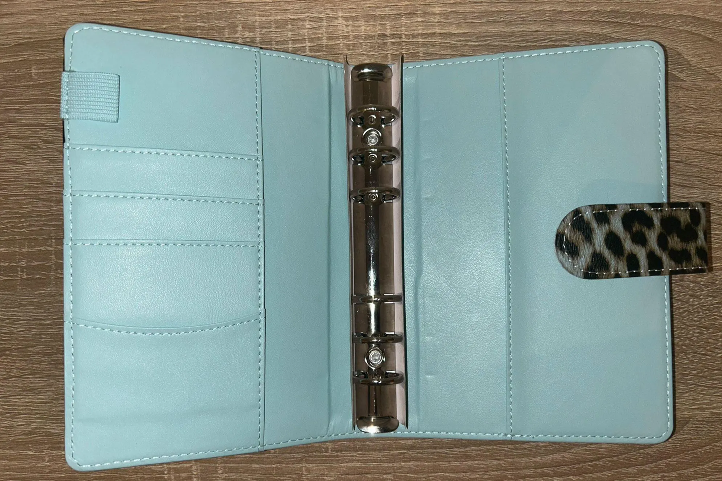 Budget Binder im Leo Look Budgeting Sparen