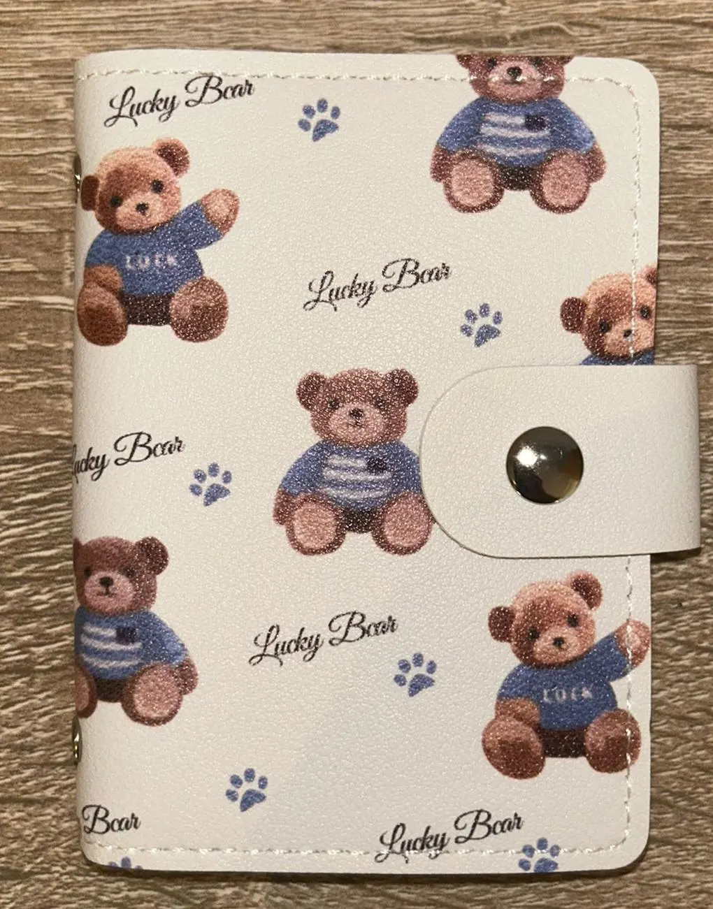 Mini Binder Budgeting Sparen