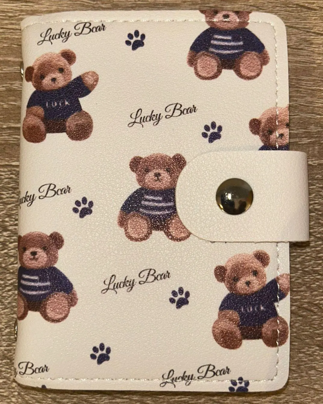 Mini Binder Budgeting Sparen