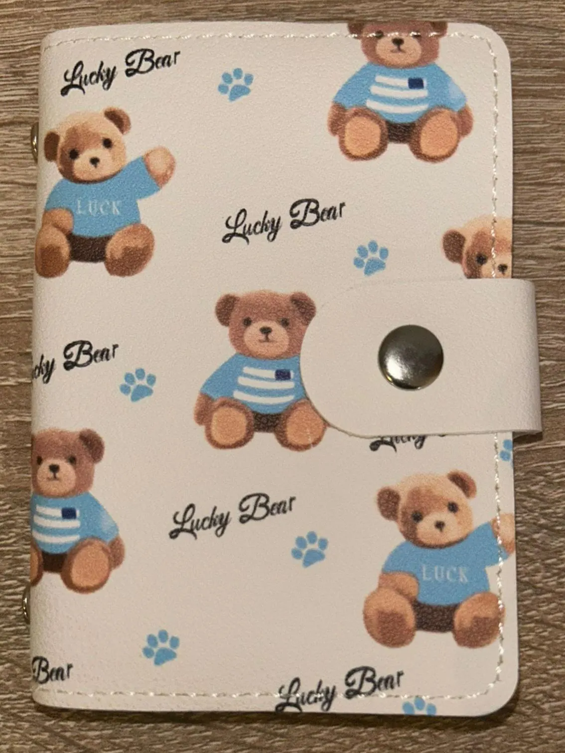 Mini Binder Budgeting Sparen